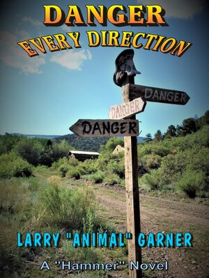cover image of Danger Every Direction